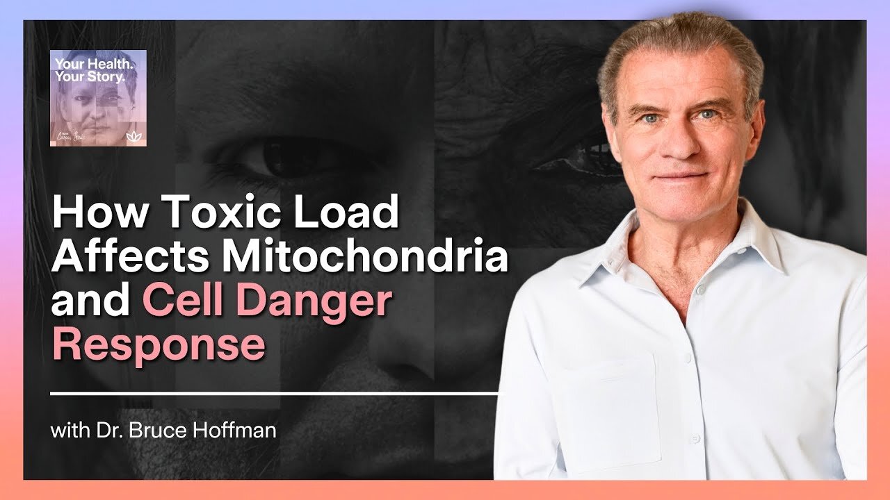 How Toxic Load Affects Mitochondria and Cell Danger Response