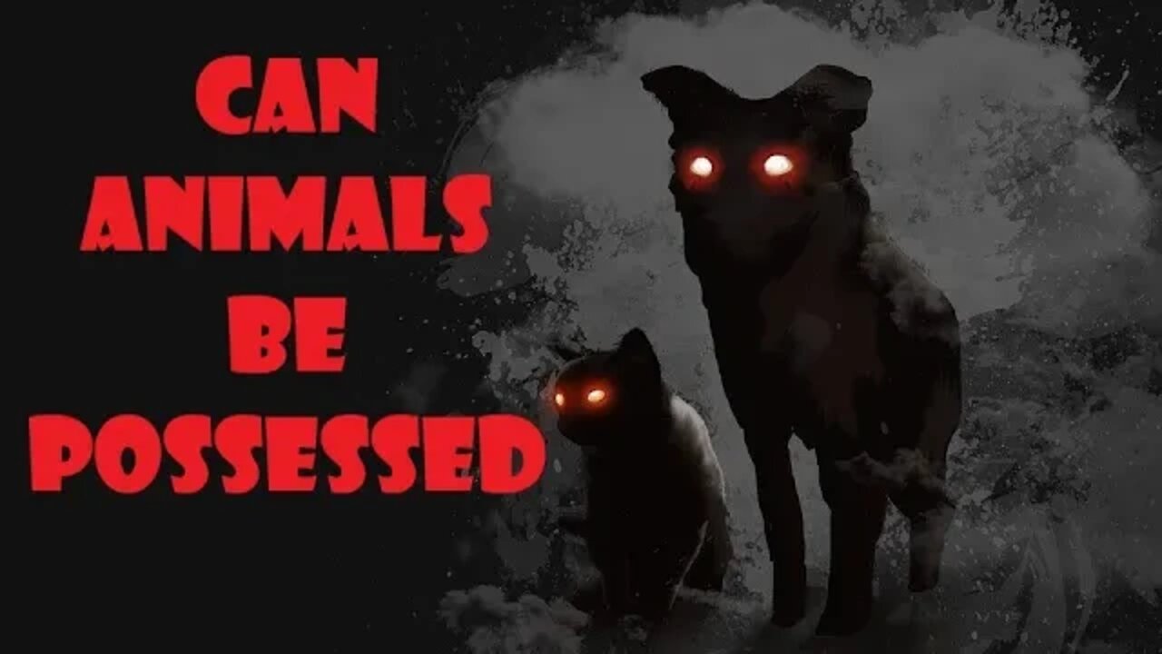 Can Animals Be Possessed Staring Into The Abyss