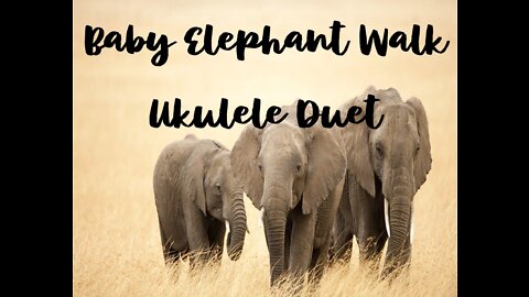 Baby Elephant Walk Ukulele Ensemble