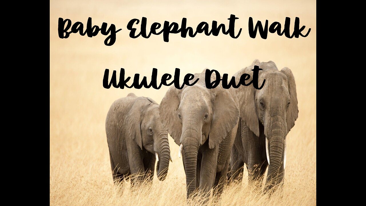 Baby Elephant Walk Ukulele Ensemble