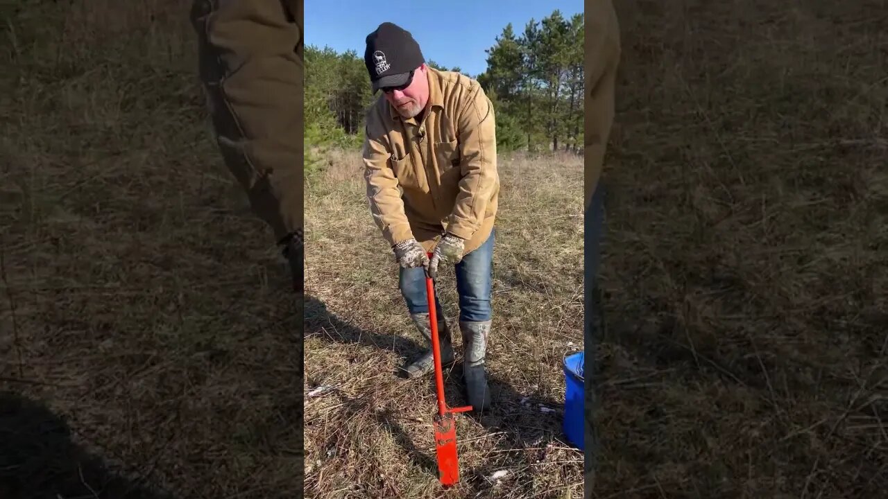 Plant a tree in less than a minute #deer #deerhunting #hunting #foodplot #tree