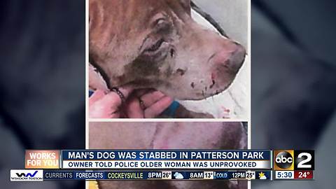 Woman stabs dog in Patterson Park