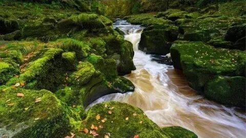 This River Has a 100% Mortality Rate; Coined the 'Deadliest Stretch of Water'