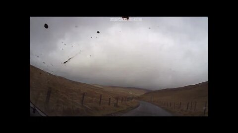 short drive in the dales