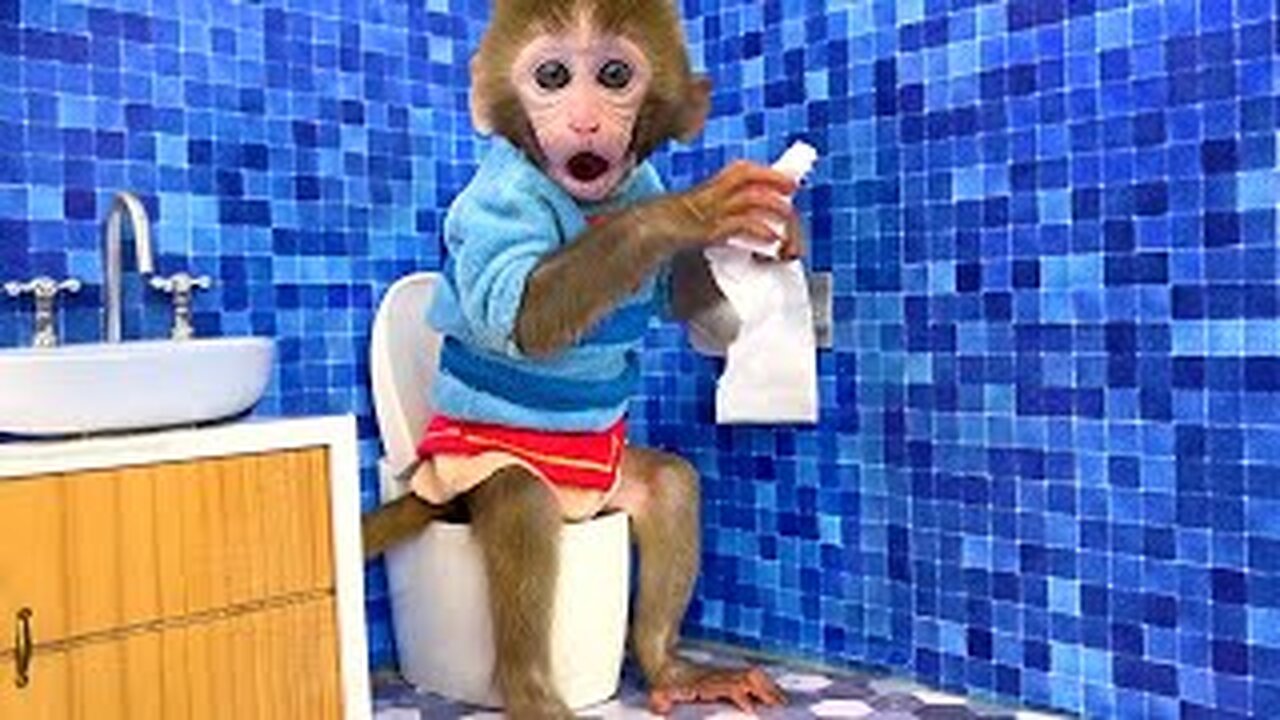 Monkey Bon Bon plays tricks with water balloons and swims in a colorful pool