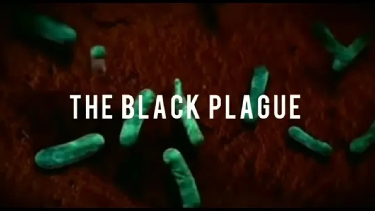 The Black Plague