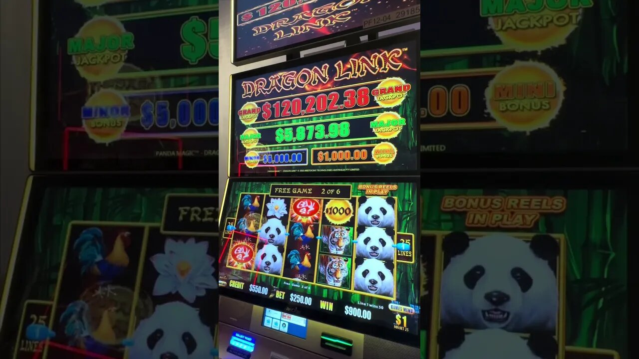 OMG! $250 BET MASSIVE JACKPOT!! #slots #gambling #CASINO