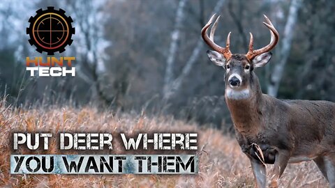 Doe Scent in an Easy-to-Use Spray Bottle
