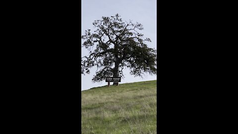 Lime Ridge Open Space Sign