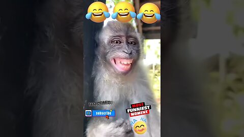 try not to laugh 😂 funny video