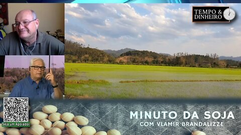 Milho segue em plantio no Sul