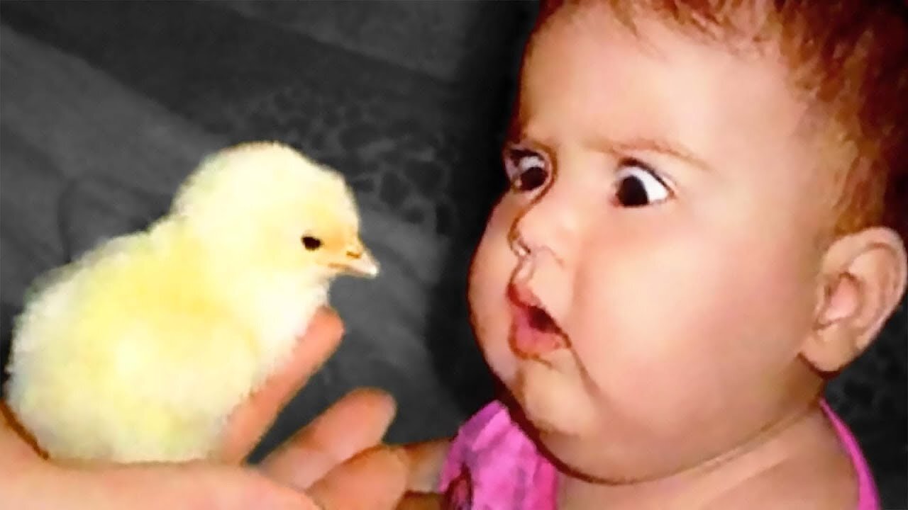 Funniest Babies And Animals Compilation || Just Laugh