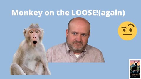 There's a Monkey on the LOOSE! And it's not the first time!....Deerwood Realty and Friends.....Ep 7