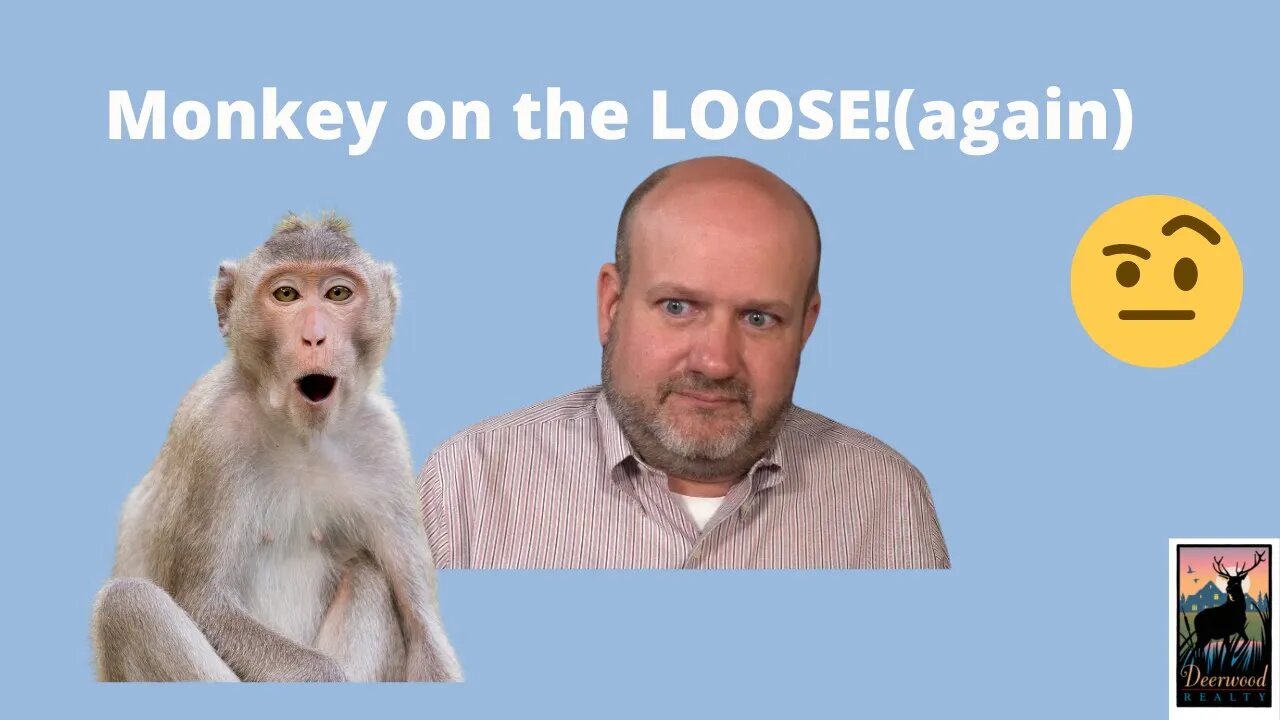 There's a Monkey on the LOOSE! And it's not the first time!....Deerwood Realty and Friends.....Ep 7