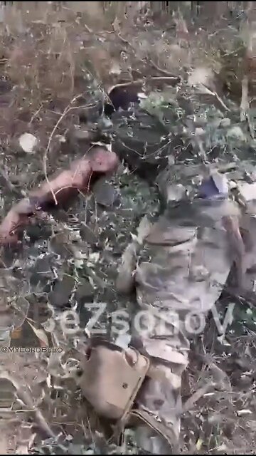 “I mowed them all down with a machine gun”, poorly trained mobiks being sent to the meat grinder