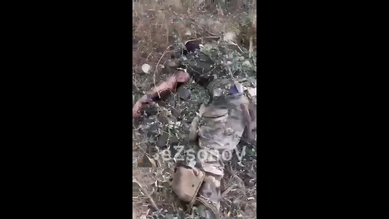 “I mowed them all down with a machine gun”, poorly trained mobiks being sent to the meat grinder