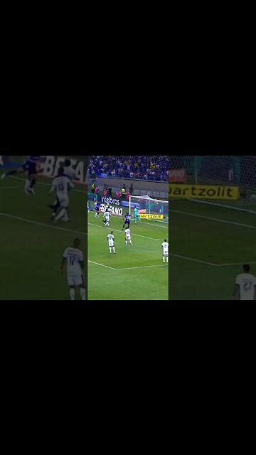 🔥🤔PERRI É SANTO? O GOLEIRO QUE FAZ MILAGRES! #botafogo #brasileirão #segueolíder