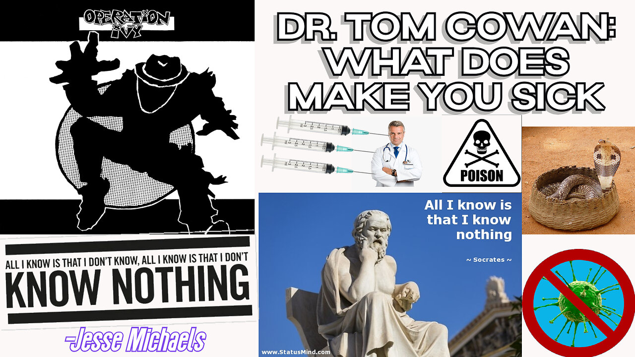 Dr. Tom Cowan: What DOES Make You Sick Plus Michael Tellinger