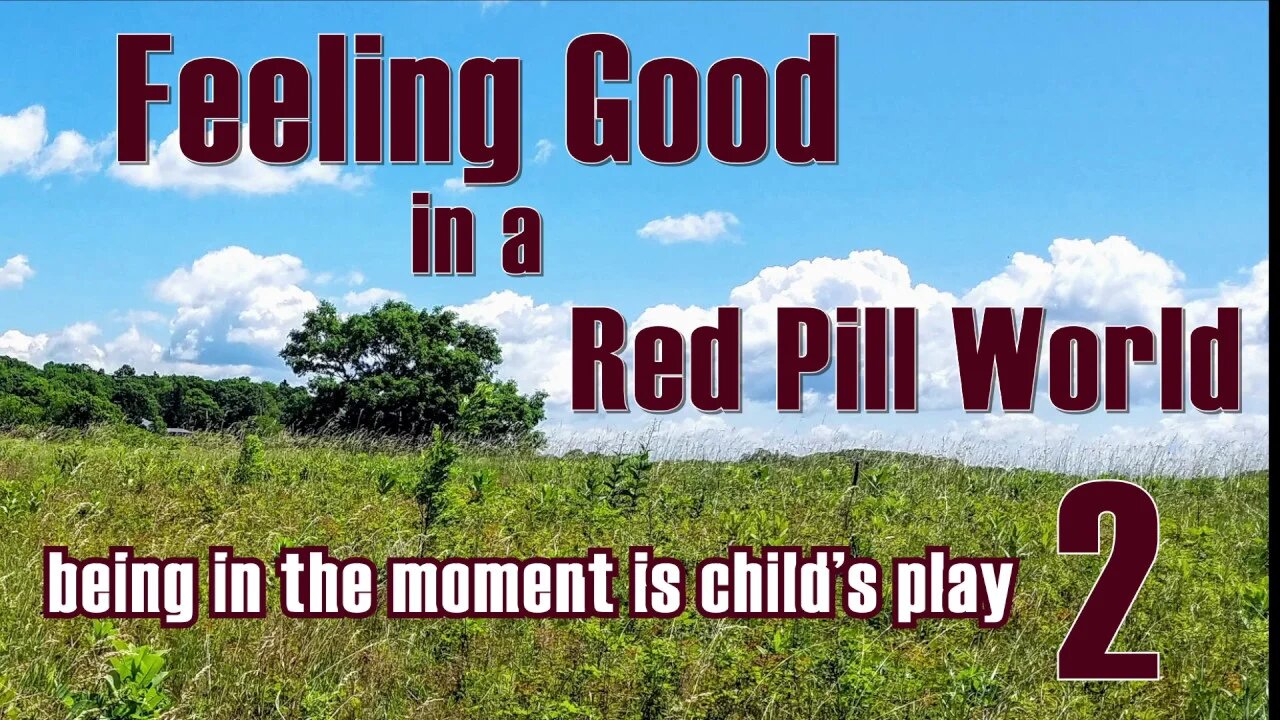 Feeling Good in a Red Pill World - Feeling Good is Child's Play