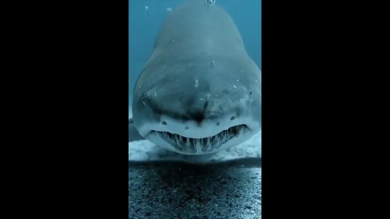 Damn That's Scary