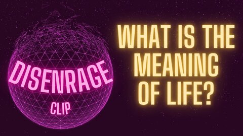 What is the meaning of life? A clip from the DISenrage series