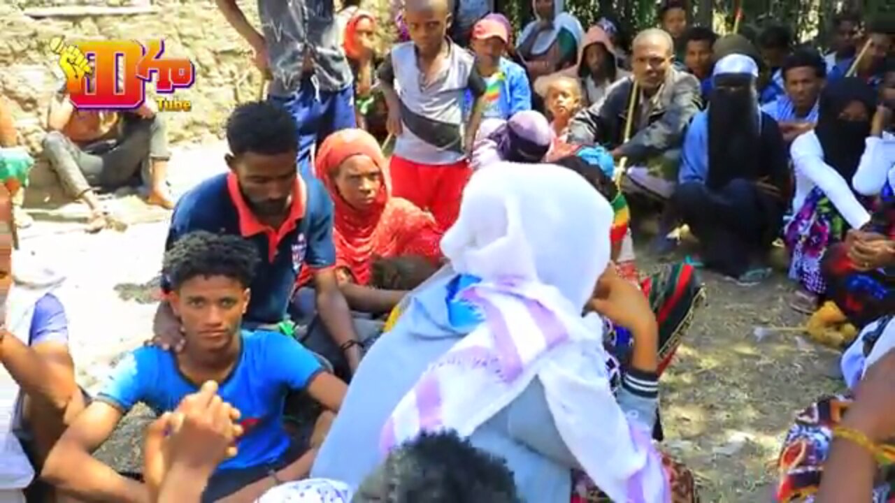 ራያ ቆቦ በተፈናቃዮች ተጥለቅልቃለች