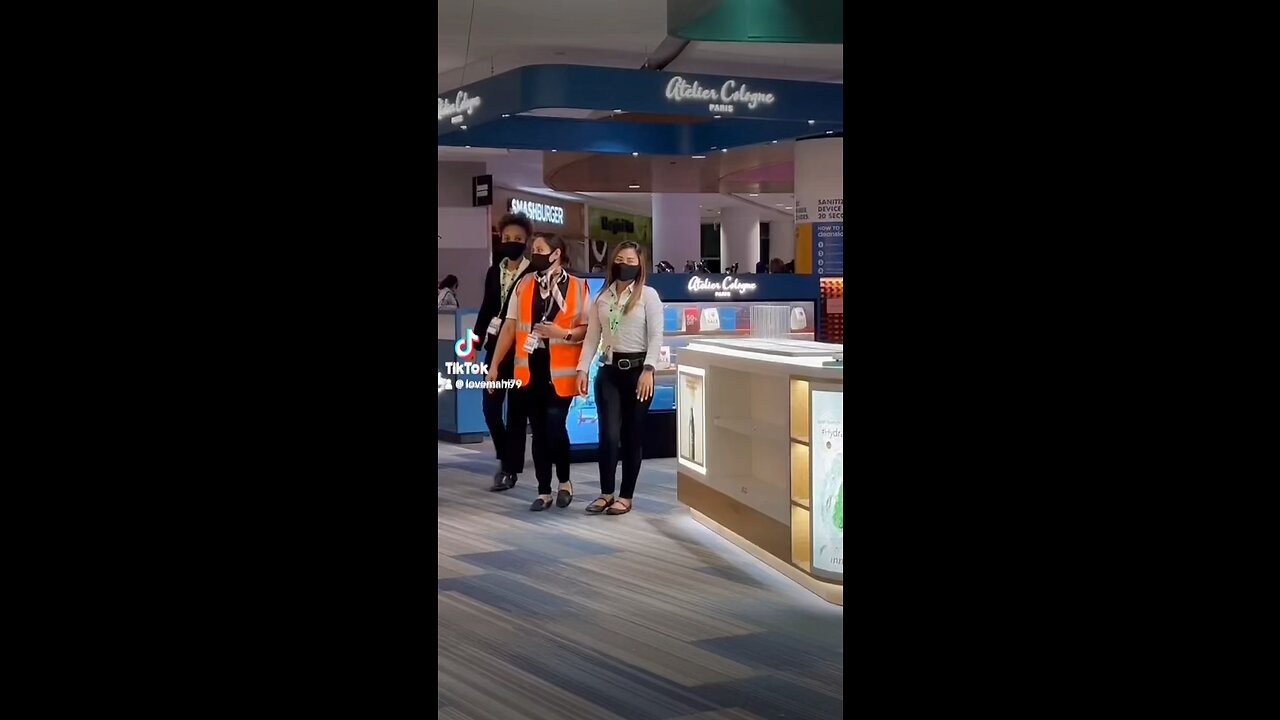 ✈️🌍