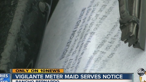 Vigilante meter maid serves notice