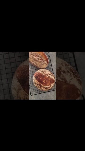 Pane al lievito madre