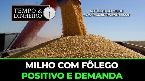 Milho com fôlego positivo e demanda