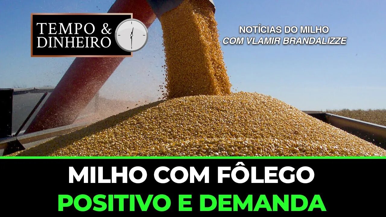 Milho com fôlego positivo e demanda