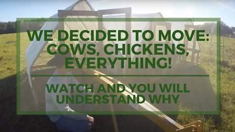 We Decided to Move Cows, Chickens, Everything - Watch and You Will Understand Why