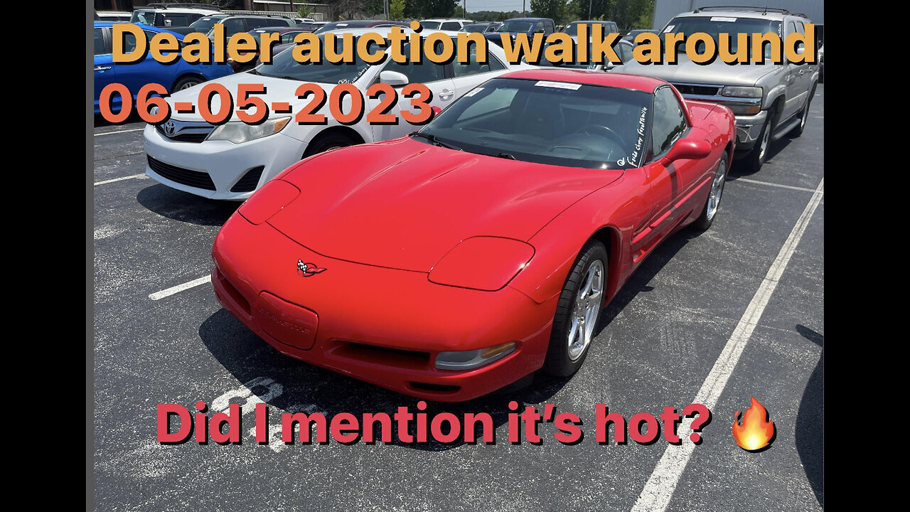 Dealer auction walk around 06-05-2023