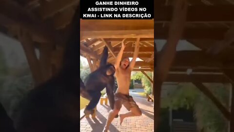 Tarzan e chita se divertindo