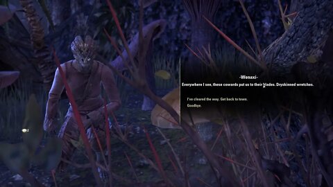 The Elder Scrolls Online Walkthrough #2 Bal Foyen [CZ/SK]