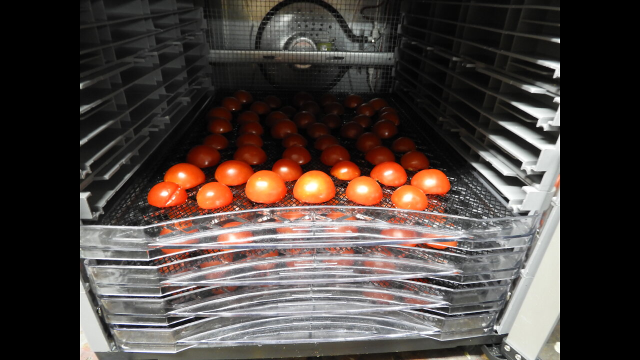 Dehydrating Cherry Tomatoes