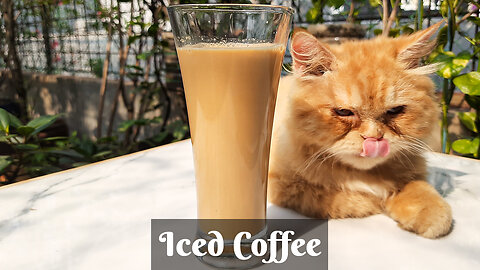 Delicious Iced Coffee | আইসড কফি তৈরির সবচেয়ে সহজ পদ্ধতি | The Best Iced Coffee Recipe