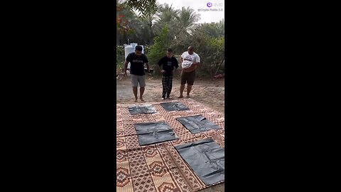 funny fun