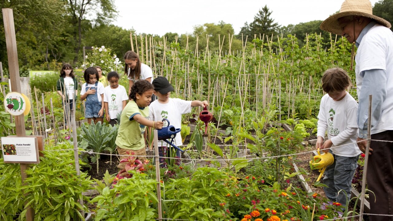 Teaching Children About Conservation, How To Make A Difference