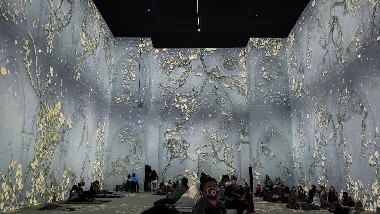 Van Gogh: The Immersive Experience HAPPY BIRTHDAY TO ME AUG 1ST #ATLANTA # VANGOGH