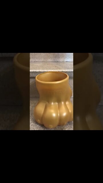 O tronco ou a pata? #Shorts