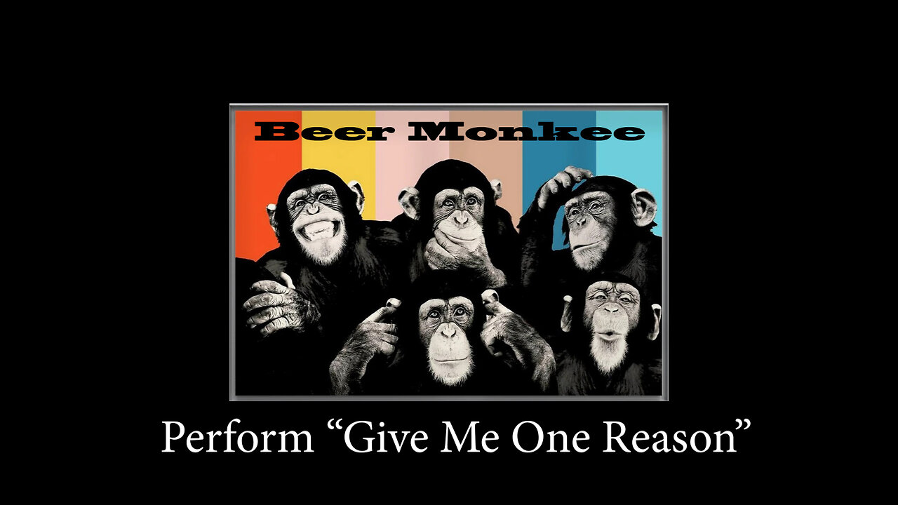 Give Me One Reason performed by Beer Monkee