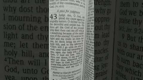 Psalm 43 NLT