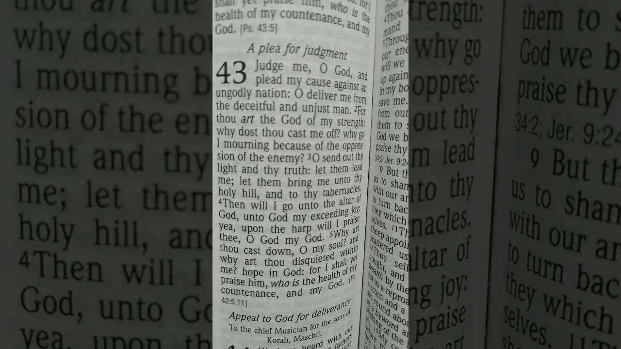 Psalm 43 NLT