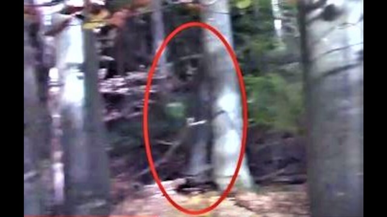 World Bigfoot Radio ~ Is Sasquatch Flesh-n-Blood or Paranormal?/ Bigfoot in Germany, Robert Boston