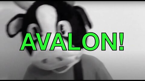 Happy Birthday AVALON! - COW Happy Birthday Song