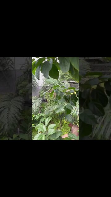 #흉터 #한의사 #한의원# 병원 #비법 #치마 #허벅지 #흉터 #하체 #하지 #하체실종 #진피 #콜라겐 #피부재생 # 서울시 #중구 #서울역 #서울시청 #스커트 #다이어트 #피부