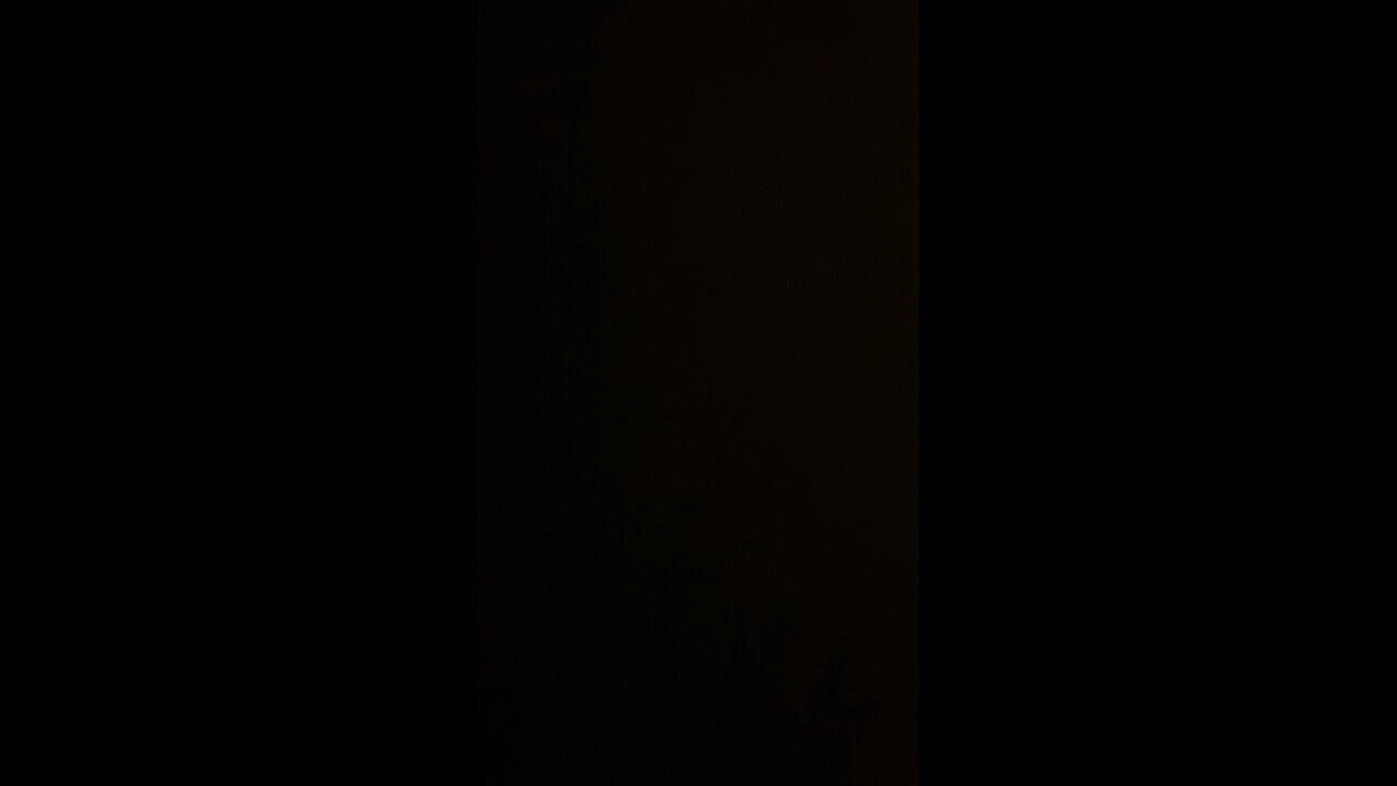 MAGA is the new Patriot Party