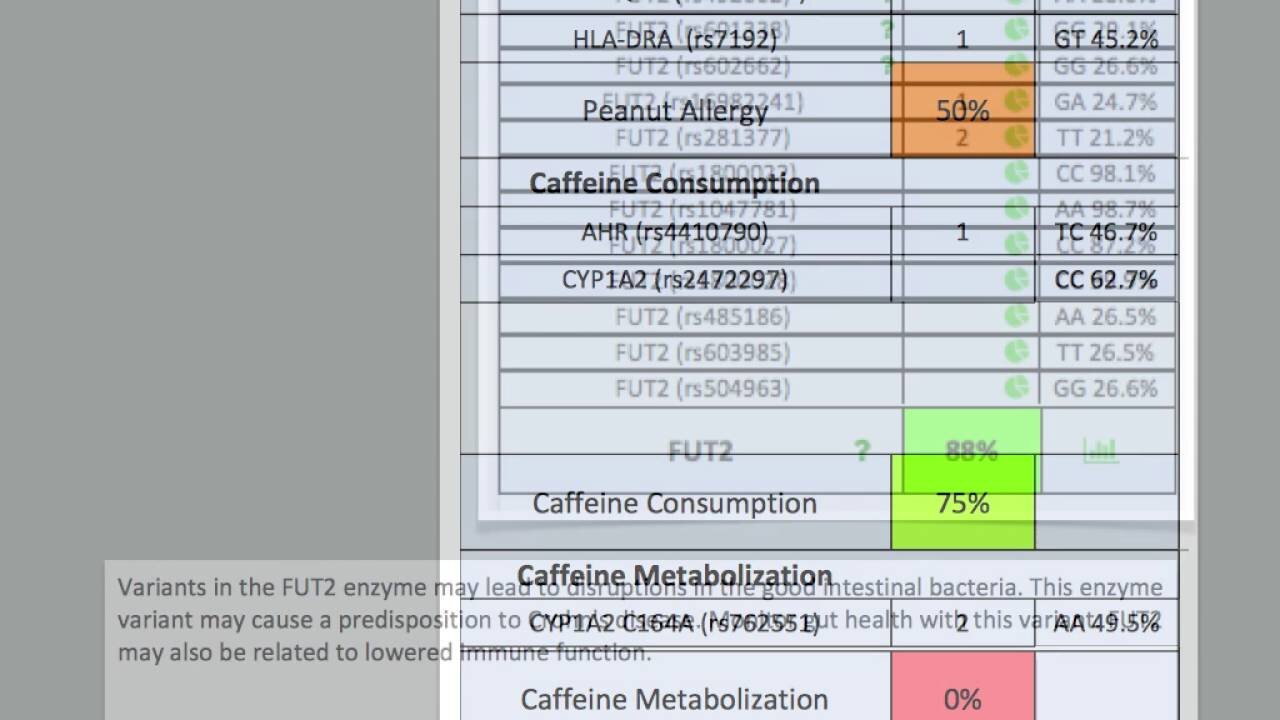 Genetics - Gut Health | Dr. Kevin Conners - Conners Clinic