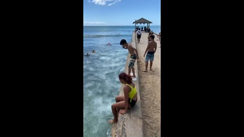 Waikiki Wall